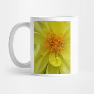 closeup macro photography of bright glowing yellow dahlia bloom with yellow gold coloured complex structured center Mug